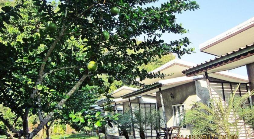 V Valley Resort Satun Extérieur photo